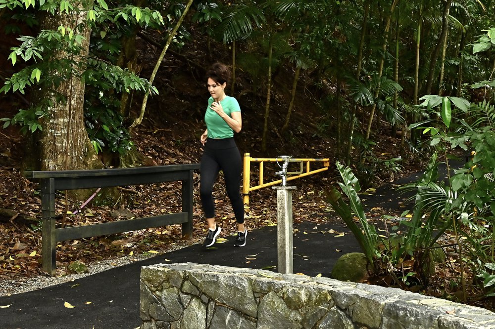 cairns security screens